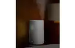 Увлажнитель воздуха DEERMA Humidifier White (DEM-SJS100)