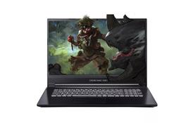 Ноутбук Dream Machines RG2060-17 (RG2060-17UA28) - Фото