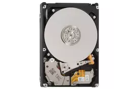 Жесткий диск для сервера 2.5