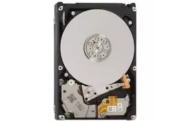 Жесткий диск для сервера 2.5