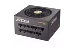Блок питания Seasonic 750W FOCUS Gold NEW (FOCUS GX-750 (SSR-750FX))