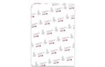 Бумага XEROX A3 COLOTECH + SILK (140) 400л (003R90359)
