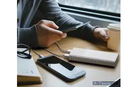 Батарея універсальна TP-Link 15600 mAh, 2*USB 5V/2.4A (TL-PB15600) - Фото