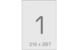 Этикетка самоклеящаяся TAMA 210х297 (1 на листі) с/кл (100листів) (17793) - Фото