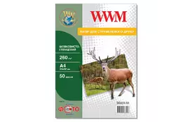 Бумага WWM A4 (SG260.50) - Фото