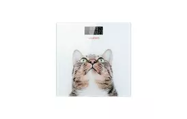 Весы напольные Ardesto SCB-965CAT - Фото