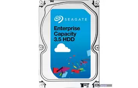 Жесткий диск для сервера 1TB Seagate (ST1000NM0045) - Фото