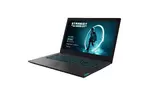 Ноутбук Lenovo IdeaPad L340-17 Gaming (81LL00B1RA)