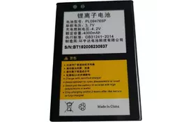 Аккумуляторная батарея для ТСД Caribe PL-40 (BTRY-CAR4000) - Фото