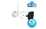 Камера видеонаблюдения Partizan IPO-2SP WiFi v1.2