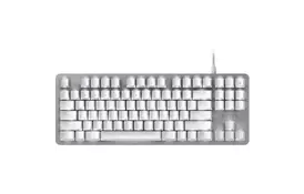 Клавиатура Razer BlackWidow Lite MercuryWhite (RZ03-02640700-R3M1) - Фото