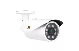 Камера видеонаблюдения Partizan IPO-VF5LP Starlight Cloud (82839) - Фото