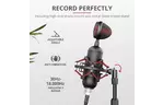 Микрофон Trust GXT 244 Buzz USB Streaming Microphone Black (23466)