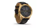 Смарт-часы Garmin Vivomove Luxe 24K Gold PVD Stainless Steel Case with Black E (010-02241-22/02)