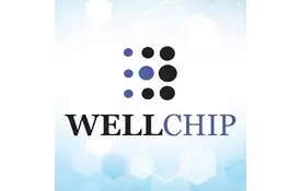 Чіп для картриджа OKI C8600/8800, Yellow, 6K WELLCHIP (COKIC8600Y) - Фото