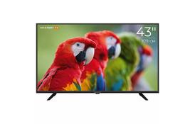Телевизор MYSTERY TV MTV-4350FST2 - Фото