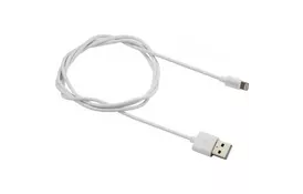 Дата кабель USB 2.0 AM to Lightning 1.0m MFI CANYON (CNS-MFICAB01W) - Фото
