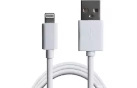 Дата кабель USB 2.0 AM to Lightning 1.0m White Grand-X (PL01CW) - Фото