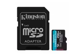 Карта памяти Kingston 256GB microSDXC class 10 UHS-I U3 A2 Canvas Go Plus (SDCG3/256GB) - Фото