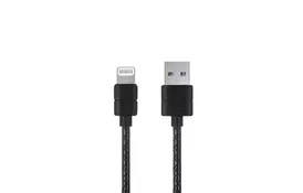 Дата кабель USB 2.0 AM to Lightning 0.2m L21 Black PURIDEA (6497445) - Фото