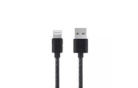 Дата кабель USB 2.0 AM to Lightning 1.0m L21 Black PURIDEA (L21-Lightning Black) - Фото