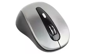 Мышка GEMBIRD MUSW-6B-01-BG Silver+Black (MUSW-6B-01-BG) - Фото