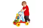 Ходунки Chicco Baby Gardener (09793.00)