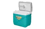 Автохолодильник Pinnacle 30 л, Prudence, 12/240V Бирюзовый (8906053362008TURQUOISE)