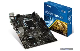 Материнская плата MSI B250M PRO-VD - Фото
