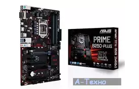 Материнская плата ASUS PRIME B250-PLUS - Фото
