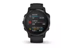 Смарт-часы Garmin Fenix 6S Pro Black with Black Band (010-02159-14/13)
