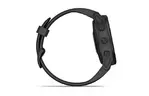 Смарт-часы Garmin Fenix 6S Pro Black with Black Band (010-02159-14/13)