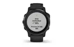 Смарт-часы Garmin Fenix 6S Pro Black with Black Band (010-02159-14/13)