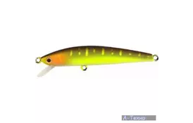 Воблер Jackson ATHLETE 5.5см 2.5г Pike Floating (1667.03.52) - Фото