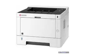 Лазерный принтер Kyocera P2040DN (1102RX3NL0) - Фото