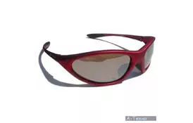 Очки Point Racing Miami (263 013 01) - Фото