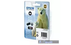 Картридж Epson 26XL XP600/605/700 photo black (C13T26314012) - Фото