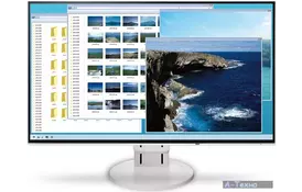 Монітор EIZO EV2456-WT - Фото