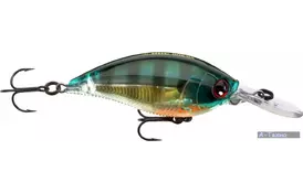 Воблер YO-ZURI R1106 3DB Mid Crank (F) 70mm PBG (R1106-PBG) - Фото