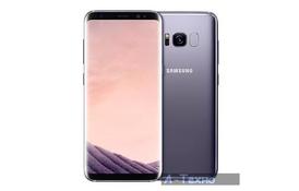 Мобильный телефон Samsung SM-G950FD/M64 (Galaxy S8) Orchid Gray (SM-G950FZVDSEK) - Фото