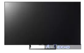 Телевизор SONY KD49XE7096BR2 - Фото