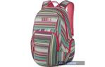 Рюкзак Dakine Finley 25L Finn 8210-027 (610934831696)