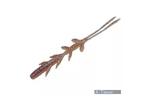Силикон рыболовный Jackall Scissor Comb 2.5" Kawashima Shrimp (1699.09.92)
