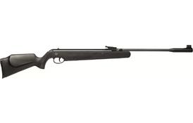 Norica Dream Rider - Фото