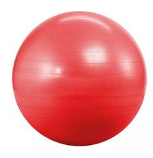 Мяч для фитнеса Landfit Фитбол 55 см (с насосом) Fitness Ball (Fitness Ball 55cm) 