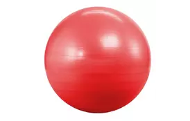 Мяч для фитнеса Landfit Фитбол 55 см (с насосом) Fitness Ball (Fitness Ball 55cm)  - Фото