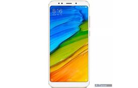 Мобильный телефон Xiaomi Redmi 5 3/32 Gold - Фото