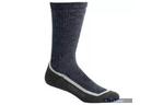 Термоноски Icebreaker Mountaineer Mid Calf WMN oil/silver/brazil L (IBN 307 309 L)