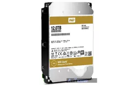 Жесткий диск 3.5" 12TB Western Digital (WD121KRYZ) - Фото