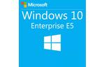 Операционная система Microsoft Windows 10 Enterprise E3 VDA Upgrade 1 Year Corporate (4b608b64_1Y)
